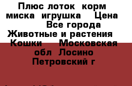 Плюс лоток, корм, миска, игрушка. › Цена ­ 50 - Все города Животные и растения » Кошки   . Московская обл.,Лосино-Петровский г.